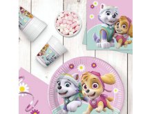 Rinkinys "Patrulė Skye" (16 asm.)